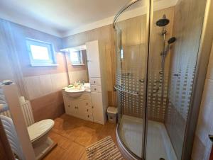 un bagno con doccia, WC e lavandino di Holiday home in Poroszlo - Theiss-See 43133 a Poroszló Altre 30 foto