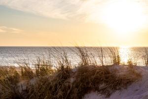 a view of the ocean from a beach with grass at Kuscheliges Sylt Zuhause für 2 Personen in Westerland (Sylt)