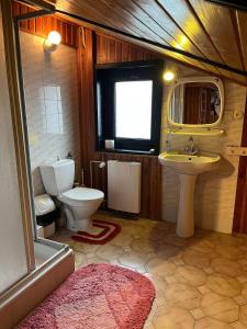 a bathroom with a toilet and a sink at Anker Kotwica in Łeba +26 photos