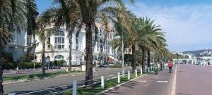 a man riding a bike down a street with palm trees at Nice, vue mer et panoramique in Nice