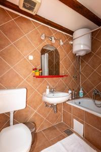 a bathroom with a sink and a toilet and a mirror at Apartman Desa Babino zlato in Goveđari