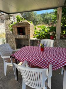 a table with a red and white checkered table cloth at Apartman Desa Babino zlato in Goveđari
