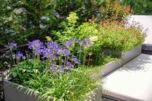 a garden with purple flowers and other plants at La Terrazza - Private Jacuzzi in Downtown Como in Como