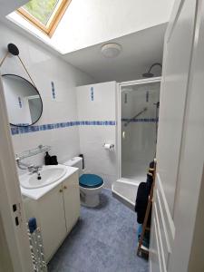 a bathroom with a toilet and a sink and a shower at Charmante petite maison de campagne in Le Tréhou