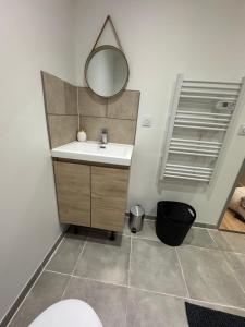 een badkamer met een wastafel en een spiegel bij Studio Cosy in Saint-Gaudens