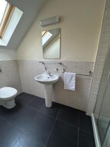 a bathroom with a sink and a toilet and a mirror at 11 The Avenue in Killarney +13 photos