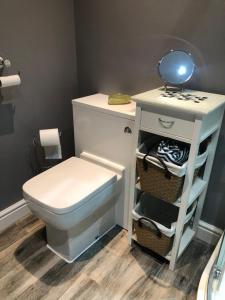 a bathroom with a toilet and a mirror on a shelf at Rose Lodge in Saint Albans +34 photos