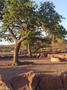 un árbol en medio de un campo con rocas en Aubures Camp, en Helmeringhausen