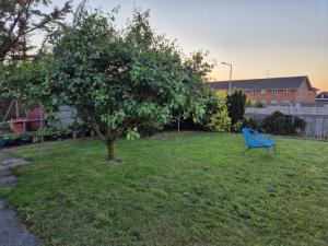 House in Hvide Sande Centrum外面的花园