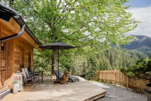 a dog sitting on a deck with an umbrella at Hütte Neuhaus in Annaberg im Lammertal