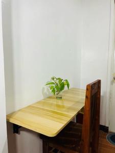 a wooden table with a plant sitting on top of it at Tres Marias Place in Iloilo City +3 photos