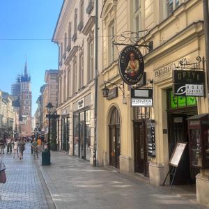 Okolica w pobliżu tego apartamentu