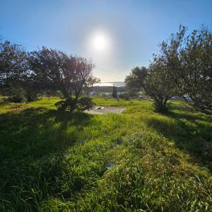 a field with trees and the sun in the sky at Blue and White View in Sarakíniko
