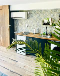 a kitchen with a sink and a counter at Jungle Love Loveroom avec Balnéo à 10 min de Disneyland Paris in Serris