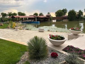 a garden with two large pots of flowers and a pond at Ancora in Salonta