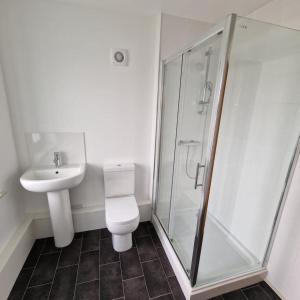a bathroom with a shower and a toilet and a sink at Studio (Triple) in Sutton in Cheam