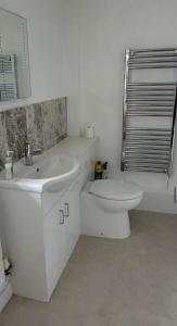a white bathroom with a toilet and a sink at Broadwindsor Cottage in Broadwindsor