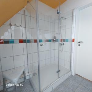 een douche met een glazen deur in een badkamer bij Ferienwohnung GOMO in Stockelsdorf +25 foto's