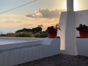 two potted plants on a white wall with the sunset at House La Pennata - sea view in Malfa