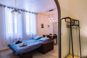 a bedroom with a bed and a mirror at Bel appartement Béziers - Plain-pied - Centre - IUT in Béziers