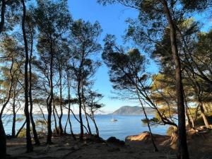 Φυσικό τοπίο κοντά σε αυτό το διαμέρισμα