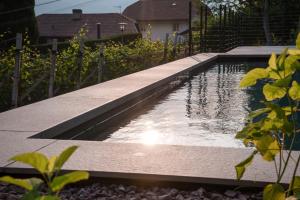 Bassein majutusasutuses Linslhof Apt Terlaner või selle lähedal