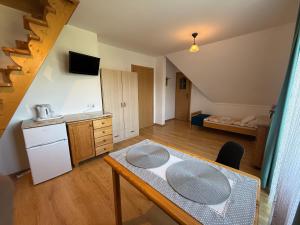 Køkken eller tekøkken på Pokoje U Hanki