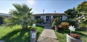 Zahrada ubytování Hôtel Cap Sud Avignon - Réouverture - Ex Kyriad Hôtel + 12 fotografií