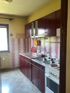a kitchen with brown cabinets and a sink at Stan na dan Velickovic in Vranje