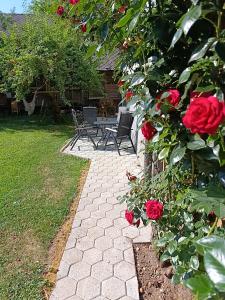 Zahrada ubytování Apartma Vidmar