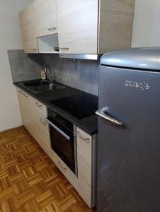 Kuchyň nebo kuchyňský kout v ubytování Apartma Vidmar