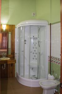 a bathroom with a shower and a toilet and a sink at Casa Rural La Flor del Naranjo in Cadalso