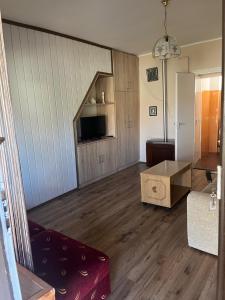 TV a/nebo společenská místnost v ubytování Roland Ház