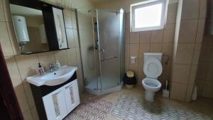 a bathroom with a shower and a sink and a toilet at Casa Damian in Bertea +53 photos