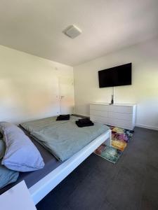 a bedroom with a bed and a flat screen tv at Modernes Zimmer am Campus 3 mit Gemeinschaftsbad in Villingen-Schwenningen