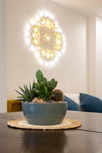 eine Pflanze in einer Schale, die auf einem Tisch sitzt in der Unterkunft La casetta di Nina in Castellana Grotte