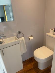 a bathroom with a white toilet and a sink at NEW - 3 Bedroom House in East Kilbride in East Kilbride