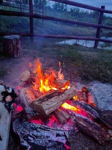 a fire pit in a yard with flames at La Conacu lu'Baran in Bahna