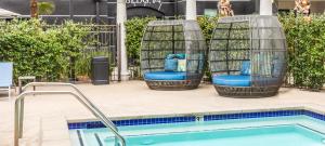 北好莱坞Noho Haven 2 bed Apt with FREE Parking的游泳池旁边的两把鸟笼椅
