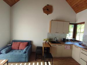 a living room with a blue couch and a kitchen at Domek pod Dębami Górecko Kościelne in Górecko Kościelne