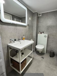 Koupelna v ubytování River 2 -Kissed Retreat with Iconic Jungfraujoch View + 27 fotografií