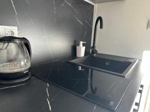 Kuchyň nebo kuchyňský kout v ubytování Glamping Pod meruňkami