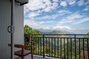 Příroda nedaleko hotelu