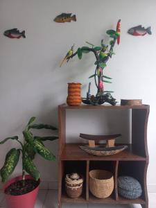 a shelf with plants on it next to a wall at AMAZONIKA Casa de Huespedes in Inírida