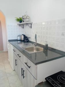 a kitchen with a sink and a counter top at Puerto Porto Koufo in Porto Koufo