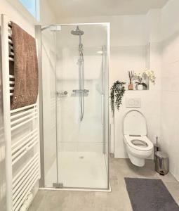Un baño con inodoro y ducha de cristal. en Vienna Nest, central and quiet with balcony and garden, self check-in, en Viena 9 fotos más