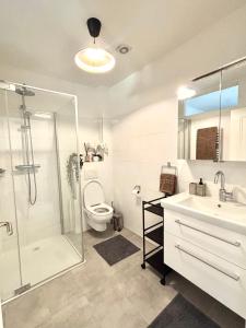 Un baño con ducha, inodoro y lavabo. en Vienna Nest, central and quiet with balcony and garden, self check-in, en Viena