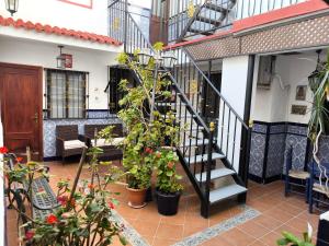 Fotografie z fotogalerie ubytování Hotel Nova Centro v destinaci Jerez de la Frontera