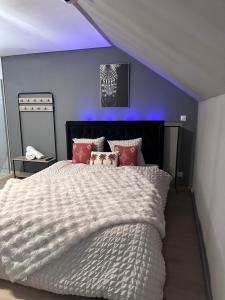 a bedroom with a large bed with red pillows at Ô Saphir Spa - Maison N3 in Denain