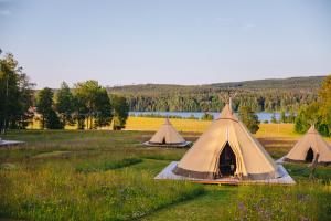 Příroda nedaleko luxury tent